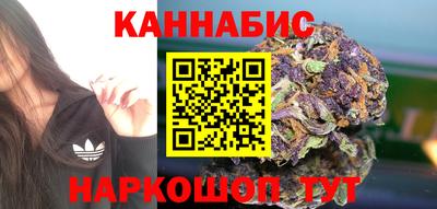 шишки Ставрополь
