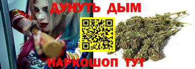 шишки Ставрополь