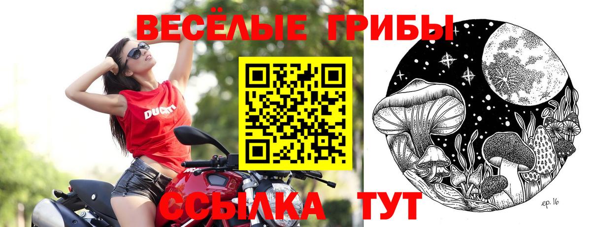 Псилоцибиновые грибы мухоморы  Вход с VPN  Псилоцибиновые грибы Psilocybe  Нижний Новгород 